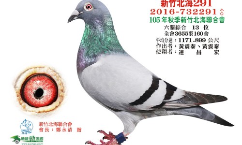 肿瘤用药TC网-分享肿瘤用药慢病报销目录，肿瘤用药TA是什么知识库